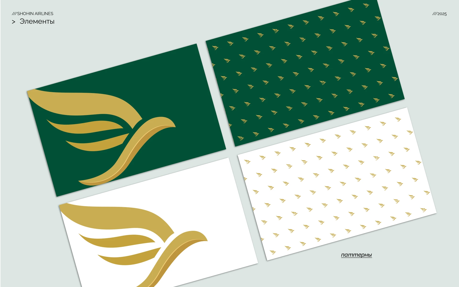 Shohin Airlines passenger experience and visual branding